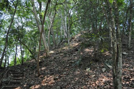 El Pilar: Archaeology Under the Canopy