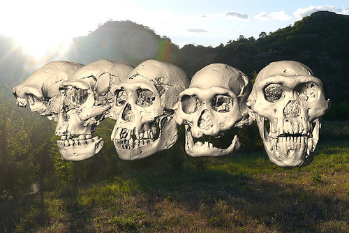 Dmanisi skulls 1 - 5 and landscape