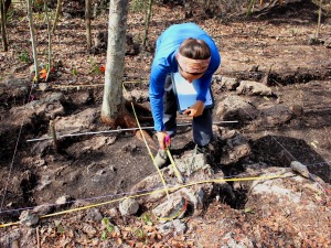 Digging the Secrets of Ancient Maya Gardeners in the Yucatan – Popular Archeology - Popular Archaeology