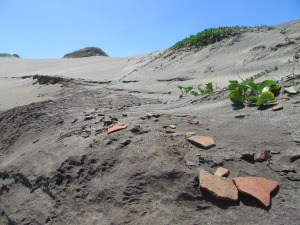 Archaeologists Survey Damage from Cyclone Winston in Fiji – Popular Archeology - Popular Archaeology