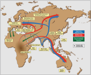 A research framework for tracing human migration events after 'out of Africa' origins – Popular Archeology - Popular Archaeology