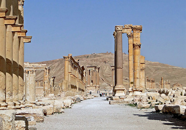 palmyra