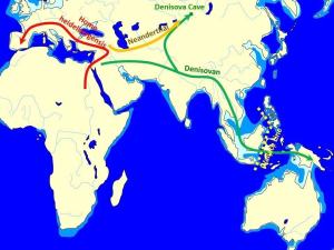 Modern Melanesians have retained Denisovan DNA – Popular Archeology - Popular Archaeology