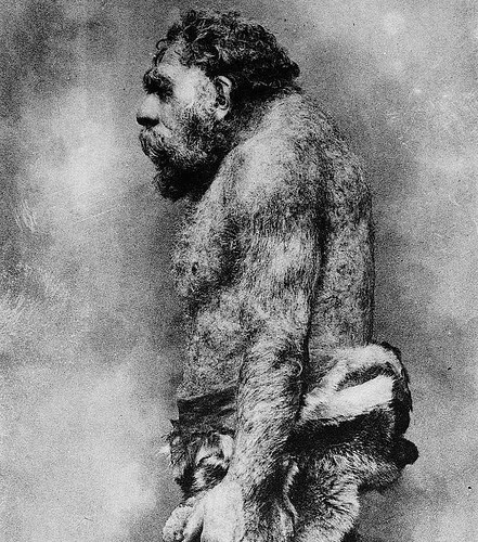 neanderthalprofile2
