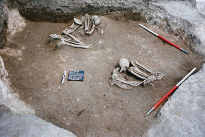 Ancestry of early European farmers traced – Popular Archeology - Popular Archaeology