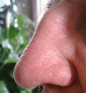 human nose profile