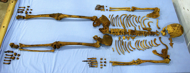 tomb15Skeleton of Senebkay