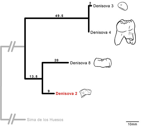 Figure1_revised_withSima_scaledFossils