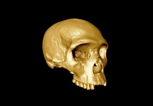 'Virtual fossil' reveals last common ancestor of humans and Neanderthals – Popular Archeology - Popular Archaeology