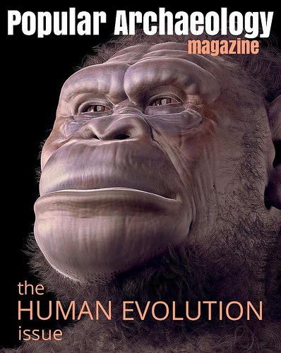 The Human Evolution Issue