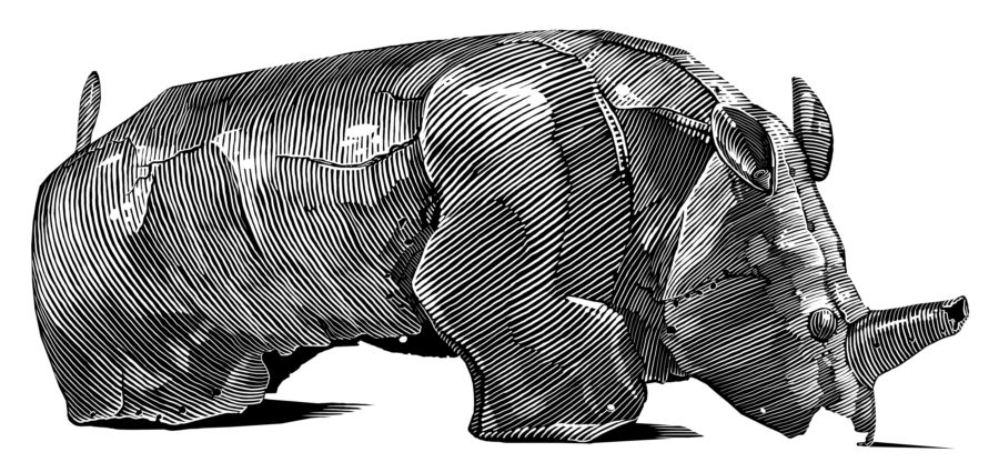 Rhino (black-gold) Sculpture. Limited Edition