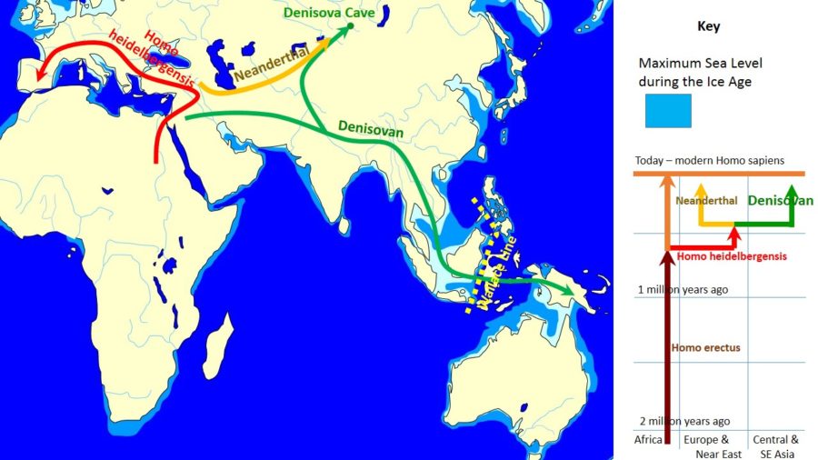 Ancient DNA reveals new branches of the Denisovan family tree – Popular Archeology - Popular Archaeology