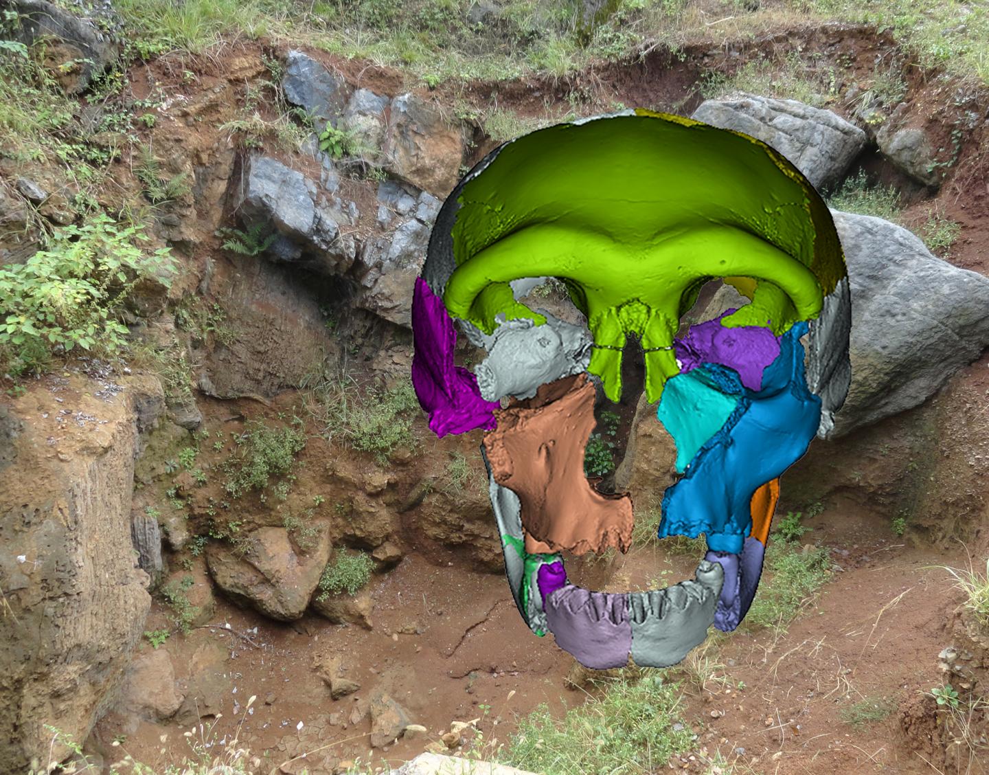 Череп в земле. Измененные черепа людей. Скульптура медузоподобный человек археология.