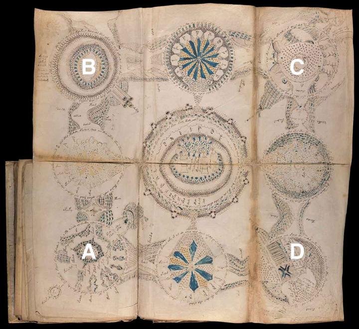 Bristol academic cracks Voynich code, solving century-old mystery of medieval text – Popular Archeology - Popular Archaeology