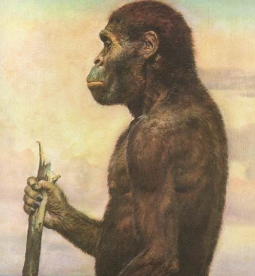 Extinct human species likely breast fed for a year after birth, NIH-funded study suggests – Popular Archeology - Popular Archaeology