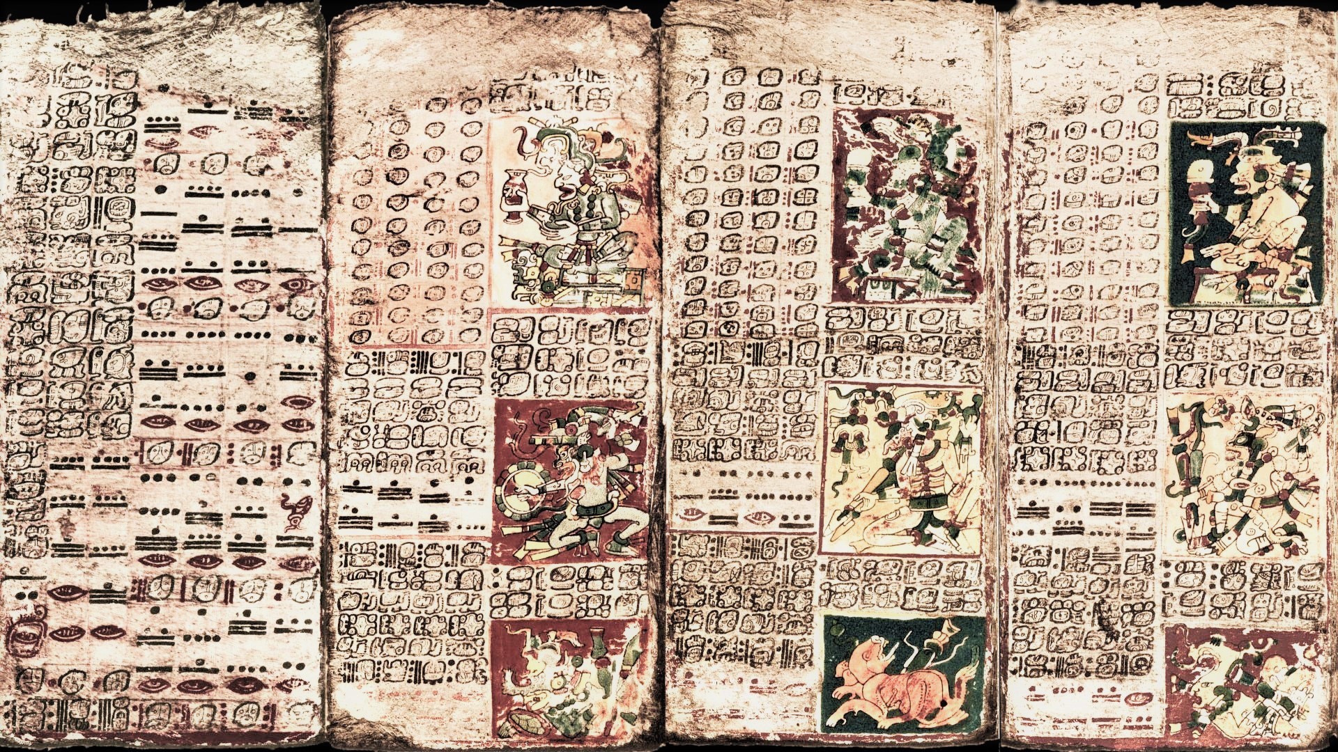 Burning the Maya Books: The 1562 Tragedy at Mani – Popular Archeology