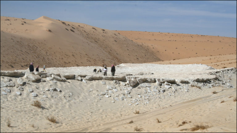 footprints2-768x431.jpg