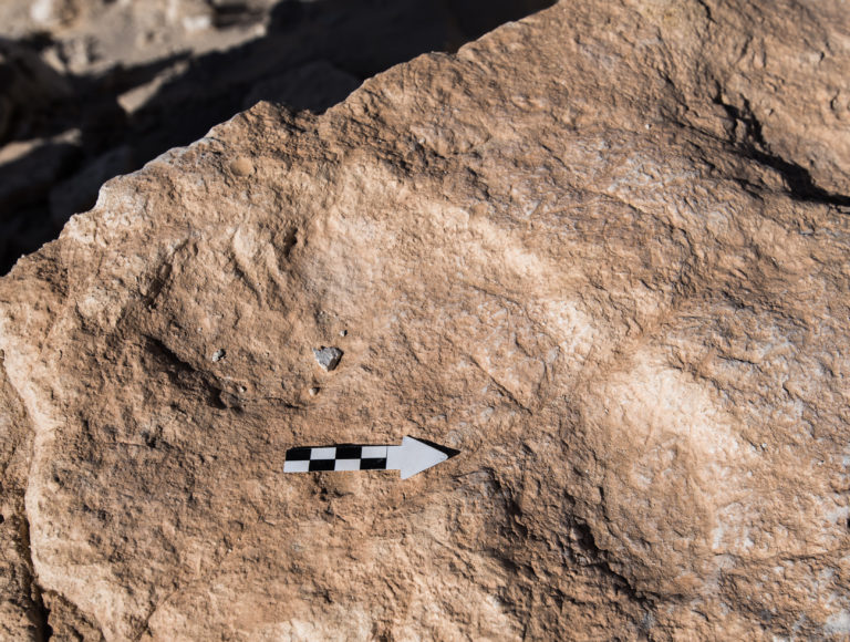 footprints5-768x580.jpg