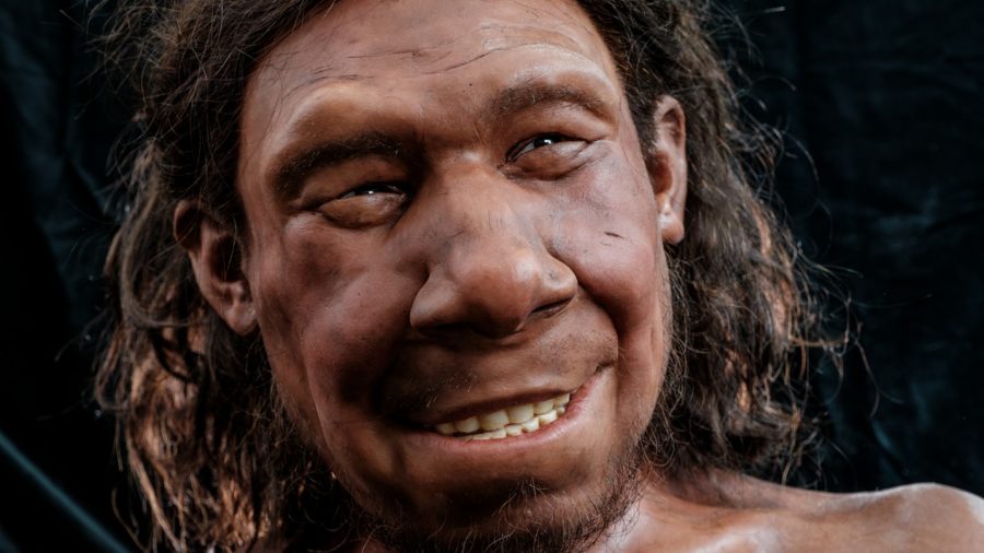 The first Dutch Neanderthal now has a face – Popular Archeology