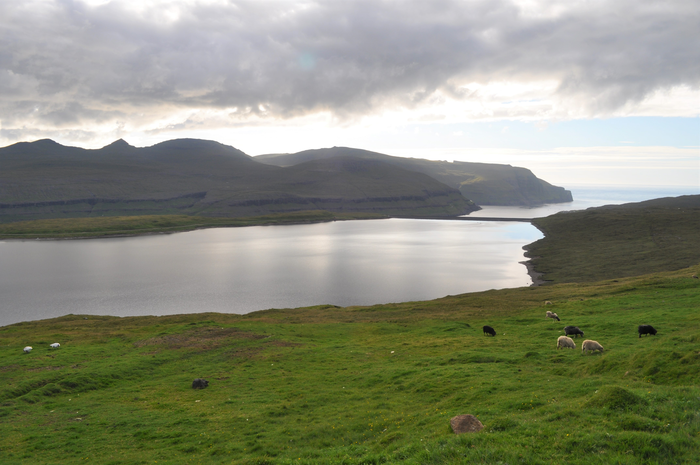 Humans Reached Remote North Atlantic Islands Centuries Earlier Than Thought – Popular Archeology - Popular Archaeology