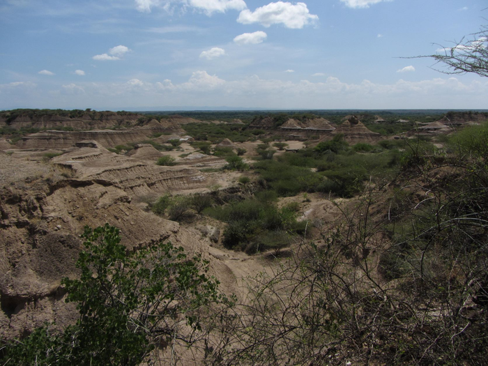 Earliest human remains in eastern Africa dated to more than 230,000 years ago – Popular Archeology - Popular Archaeology