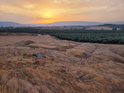 Prehistoric human vertebra discovered in the Jordan Valley tells the story of prehistoric migration from Africa – Popular ... - Popular Archaeology