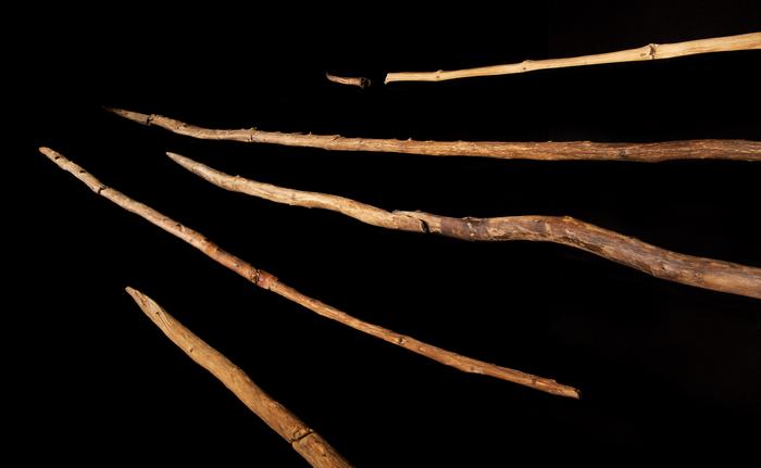 New findings on the world's oldest wooden hunting weapons – Popular Archeology - Popular Archaeology